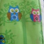 Burp Cloth Set In Pink And Green Owls And Dots..